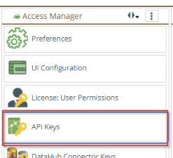 Shows the selection of the API keys tool