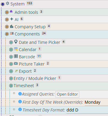 Shows getting to the Timesheet preferences