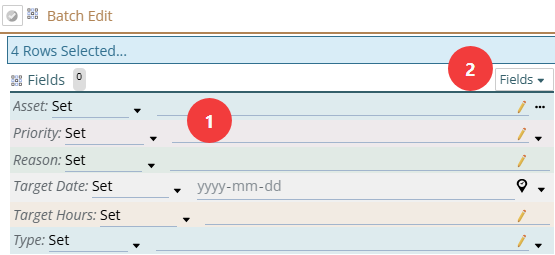 shows fields you can set values for