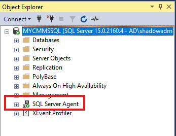 Shows when the SQL Server Agent is installed