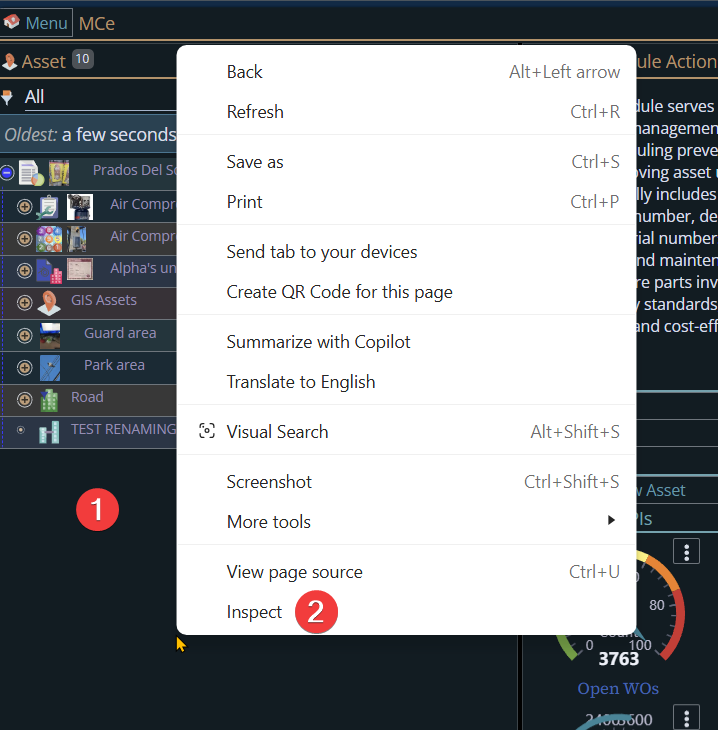 Shows one way into the browser developer console
