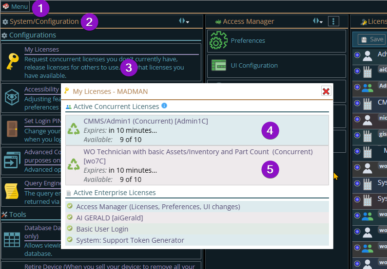 Shows I currently am consuming 2 concurrent licenses