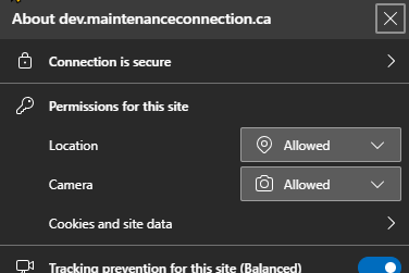 Showing MS edge settings for site