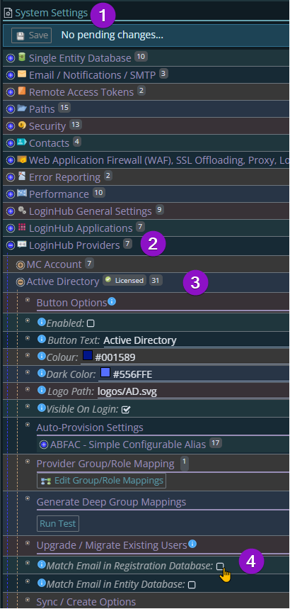 Shows option for migration to automatically match from old provider to new provider using email in registration database.