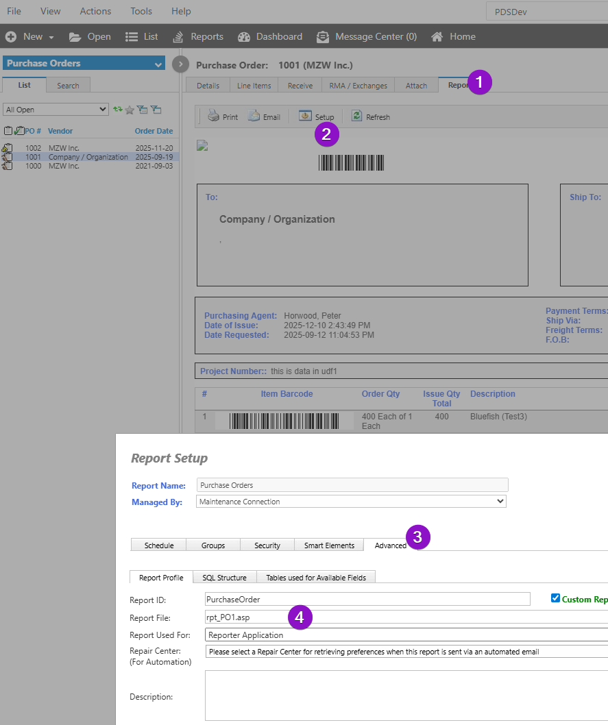 Shows a report setup screen
