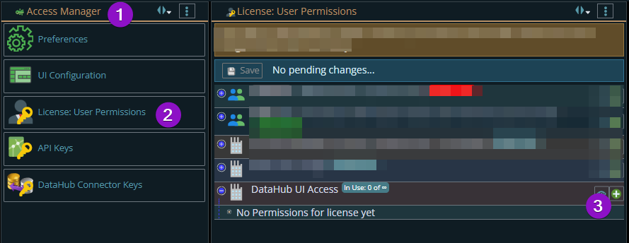 Shows where in the UI you get to the DataHub UI access license
