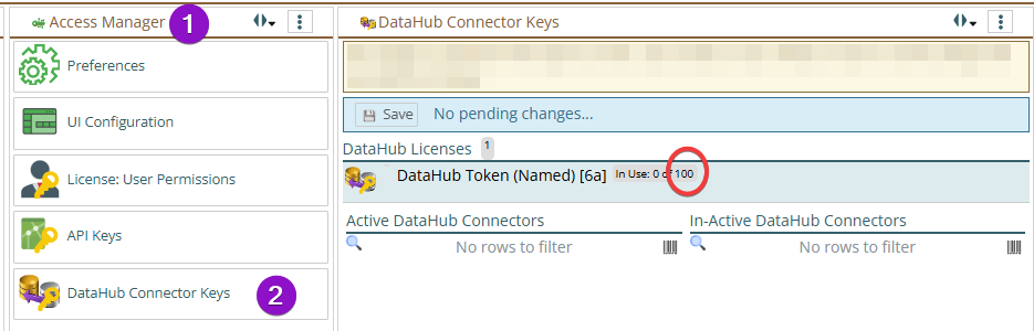 Shows in the UI where to see your count of DataHub tokens and how many are used currently