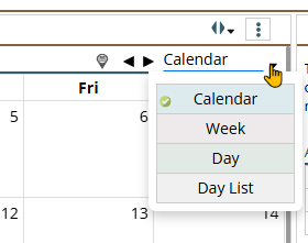 Shows setting the calendar view between the various layout choices