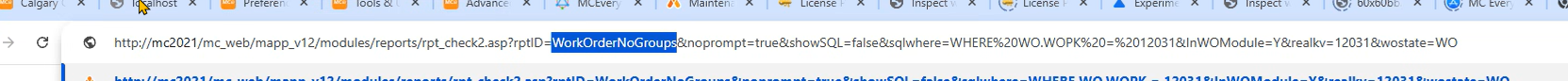 Shows the URL showing the report id